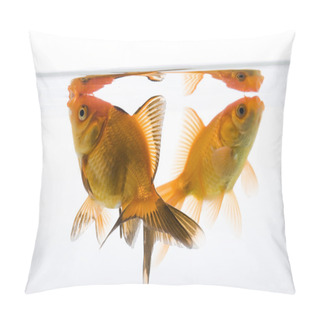 Personality  Gold Fish Pillow Covers