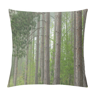 Personality  Spring Forest In Fog Pillow Covers