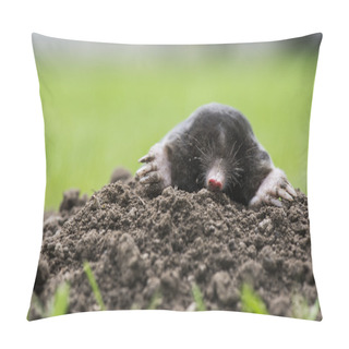 Personality  Mole Pillow Covers