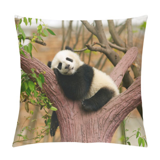 Personality  Sleeping Giant Panda Baby Pillow Covers