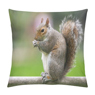 Personality  Squirrel Pillow Covers