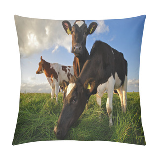 Personality  Grazing Cows Pillow Covers