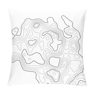 Personality  Topographic Map Background. Grid Map. Contour. Vector Illustration. Pillow Covers