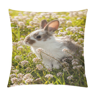 Personality  Cute Bunny, Closeup Shot  Pillow Covers