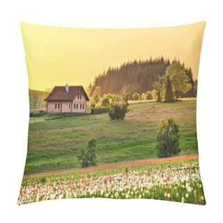 Personality  Spring Meadow With Cottage Pillow Covers