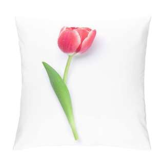 Personality  Red Tulip Flower Isolated On White Background Pillow Covers