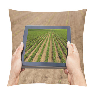 Personality  Smart Agriculture. Farmer Using Tablet Soy Planting. Modern Agri Pillow Covers