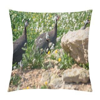 Personality  A Small Family Of Guinea Fowls Walking Through Vegetation And Calling Out For Each Other Next To A Small Farm In Malta. Pillow Covers