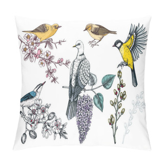 Personality  Colorful Spring Birds Illustrations Set. Dove, Yellow Warblers, Great Tit, Nuthatch On Blooming Branches In Sketched Style. Hand Drawn Passerine Birds And Flowers Isolated On White Background Pillow Covers