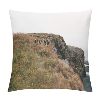 Personality  Vik Dyrholaey Pillow Covers
