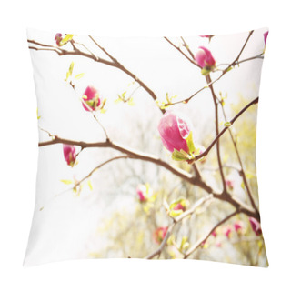Personality  Branch With Beautiful Magnolia Tree Buds Pillow Covers