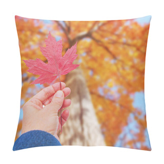 Personality  Hand Holding A Red Leaf Up To A Tree In The Fall Making An Autumn Themed Authentic Image  Pillow Covers