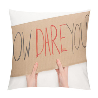 Personality  Cropped View Of Woman Holding Placard With How Dare You Lettering On White Background, Global Warming Concept Pillow Covers