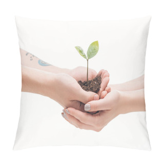 Personality  Cropped View Of Couple Holding Ground With Small Plant In Hands Isolated On White Pillow Covers
