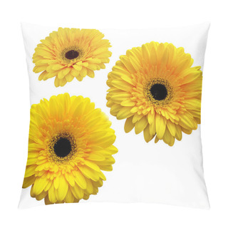 Personality  Gerbera. Bouquet Of Flowers. Yellow Gerbera Isolated On White Ba Pillow Covers