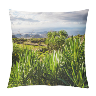 Personality  Flora Of Tenerife, Canary Islands. Spain Pillow Covers