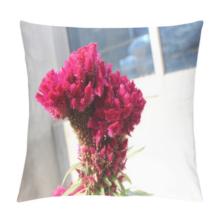 Personality  Close-up Of Celosia Argentea Flowers,  Also Known As Cockscomb Flowers, Boast A Distinctive Appearance Characterized By Dense, Velvety Clusters Of Vividly Colored Petals.  Pillow Covers