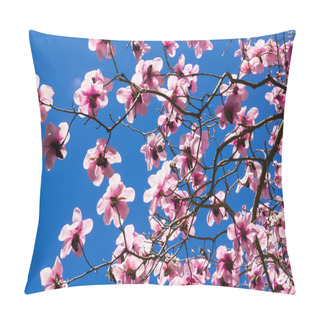 Personality  Magnolia Trees In Blossom Pillow Covers