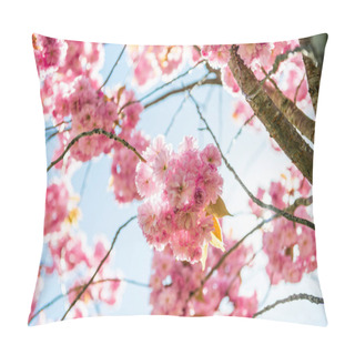 Personality  Low Angle View Of Pink Flowers On Branches Of Cherry Blossom Tree  Pillow Covers