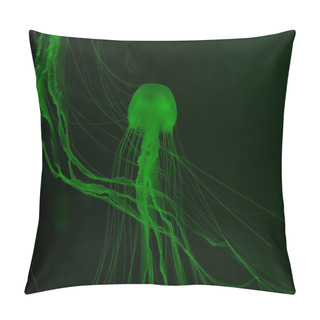 Personality  Jellyfishes In Green Neon Light On Dark Background Pillow Covers