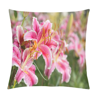 Personality  Pink Asiatic Lily Flowers  Pillow Covers