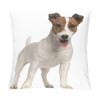 Personality  Jack Russell Terrier Puppy, 6 Months Old, Standing In Front Of W Pillow Covers