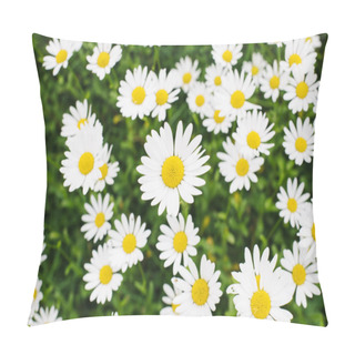 Personality  Field Of Daisy Flowers Pillow Covers