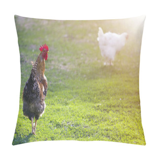 Personality  Grown Healthy White Hen And Big Brown Rooster Feeding On Fresh First Green Grass Outside In Spring Field On Bright Sunny Day. Chicken Farming, Healthy Meat And Eggs Production Concept. Pillow Covers