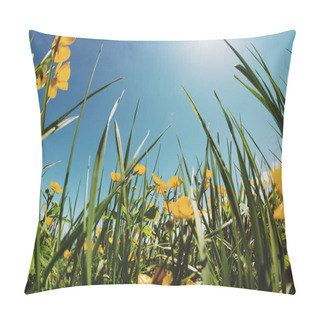 Personality  Summer Landscape Background With Fresh Yellow Flowers On Grassland Pillow Covers