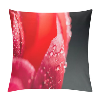 Personality  Close Up View Of Pink Peony With Water Drops Isolated On Black Pillow Covers