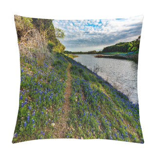 Personality  Texas Bluebonnets At Muleshoe Bend In Texas. Pillow Covers