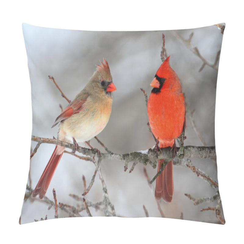 Personality  Cardinals In Snow pillow covers