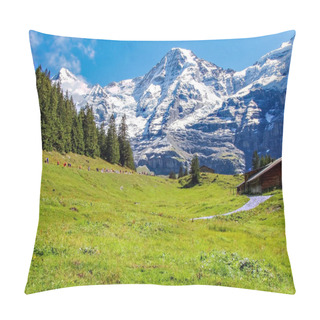 Personality  Marathon Runners At The Mounts Eiger, Moench And Jungfrau In The Jungfrau Region Pillow Covers