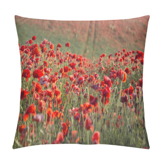 Personality  Stunning Poppy Field Landscape At Sunset On South Downs Pillow Covers