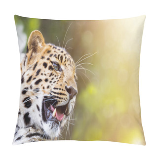 Personality  Amur Leopard In Sunlight Pillow Covers