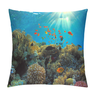 Personality  Coral Reef Pillow Covers