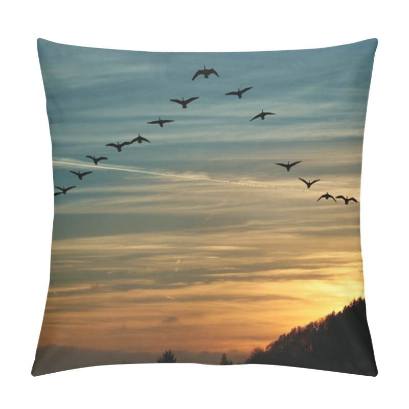 Personality  Bird Migration At Sunset Pillow Covers