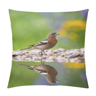 Personality  The Common Chaffinch Or Fringilla Coelebs Is Sitting At The Waterhole In The Forest Reflecting On The Surface Preparing For The Bath Colorful Backgound With Some Flowe Pillow Covers