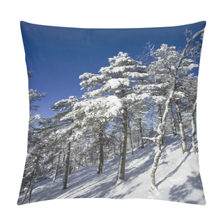 Personality  A Winter Scenery In Vuokatti Sotkamo Finland Pillow Covers