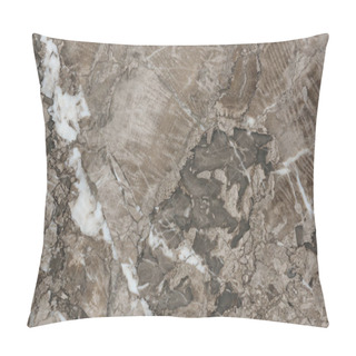 Personality  Abstract Elegant Marble Stone Background Pillow Covers