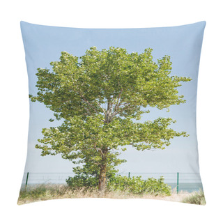 Personality  Tree Poplar On Meadow, Yellow Flowers And Background From The Bl Pillow Covers