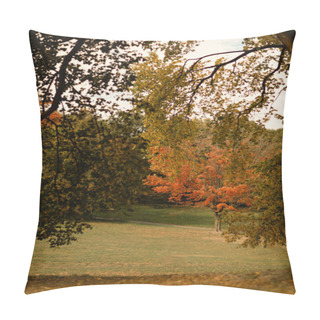 Personality  Fallen Leaves And Trees On Meadow In Central Park In New York City Pillow Covers