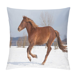 Personality  Horse Running In Winter Landscape Pillow Covers