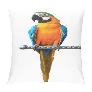 Personality  Colorful Red Parrot Macaw Isolated On White Background Pillow Covers