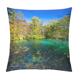 Personality  Pond In Plitvice Jezera Park, Croatia. Pillow Covers