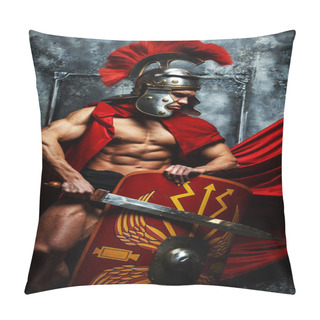 Personality  Warrior With Trained Body Holds Swor And Shield Pillow Covers