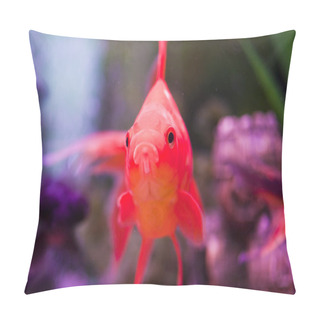 Personality  Fish In An Aquarium Pillow Covers