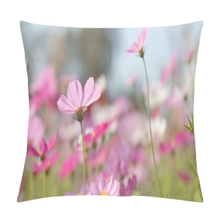 Personality  Cosmos Flower Farm Close Up  Pillow Covers