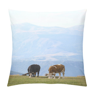 Personality Cows On A Field Pillow Covers