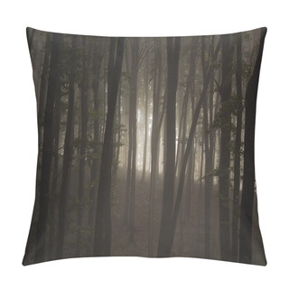 Personality  Fog Trough Thick Forest In Autumn Pillow Covers